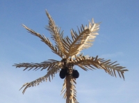 Palme